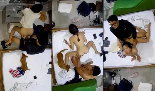 VIET69 - Em nữ sinh dẫn theo cả chó đi học nhóm bạn trong nhà nghỉ